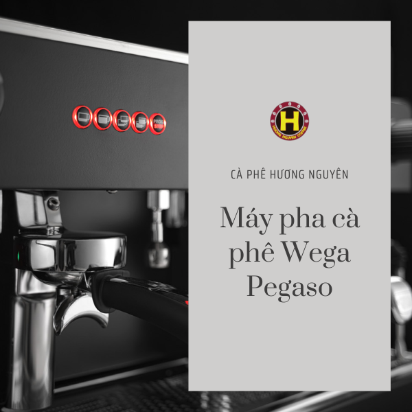 Máy pha cà phê Wega Pegaso