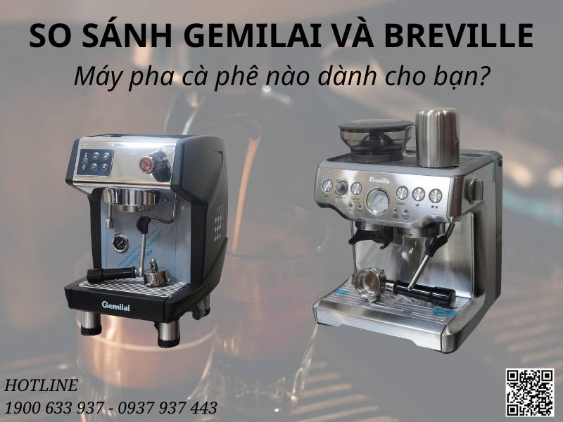 SO SÁNH GEMILAI VÀ BREVILLE