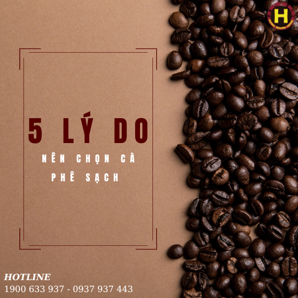 5 lý do nên chọn cà phê sạch